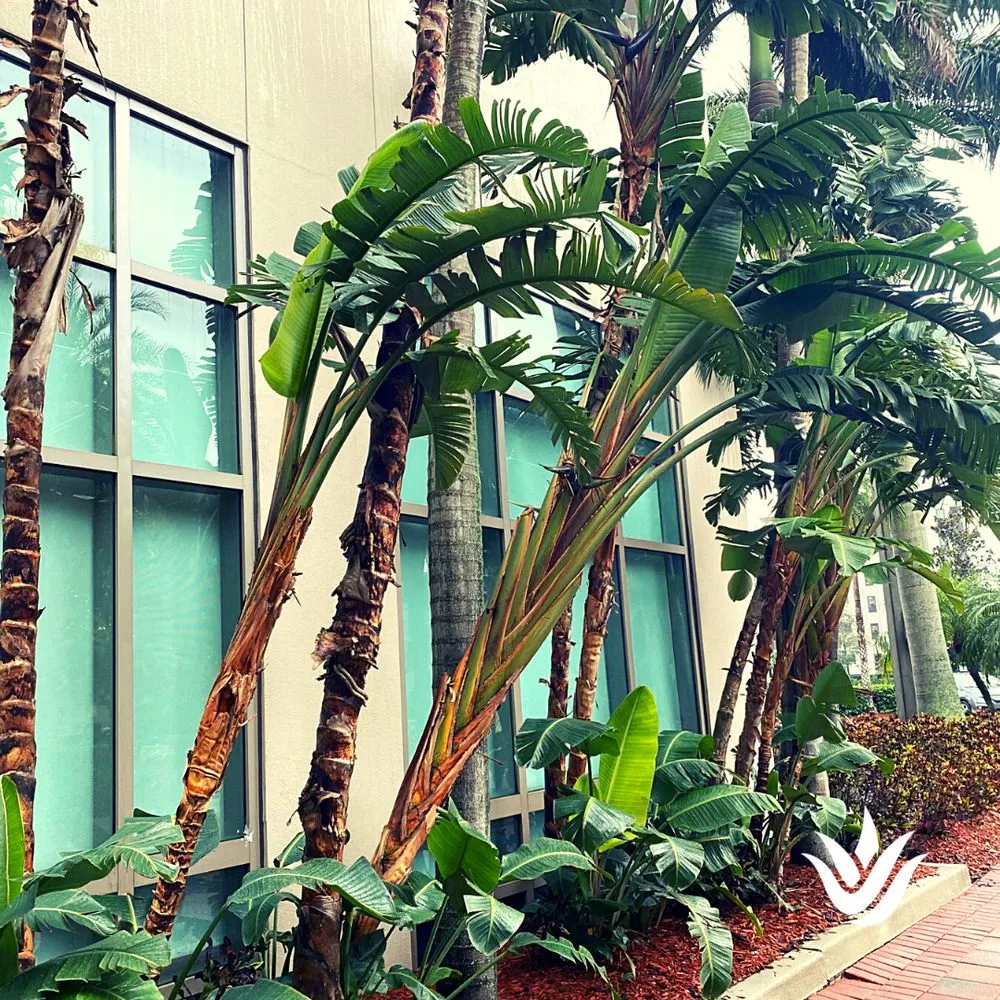 Expert landscaping services in Largo, FL - Landcrafters Florida