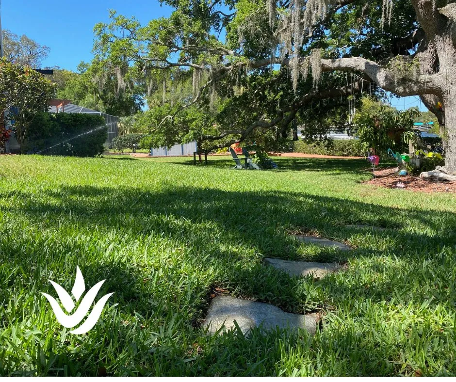 Professional landscaping services near you in Largo, FL by Landcrafters Florida