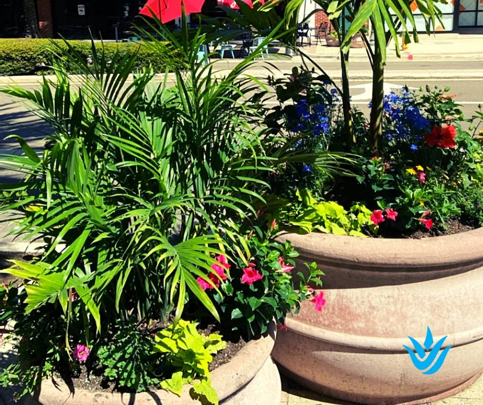 Expert lawn care service in Largo, FL by Landcrafters Florida