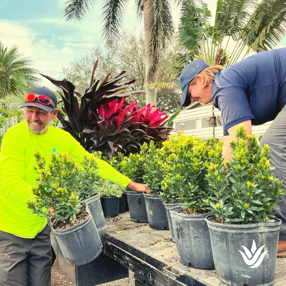 Affordable yard maintenance for homes in Largo, FL by Landcrafters Florida