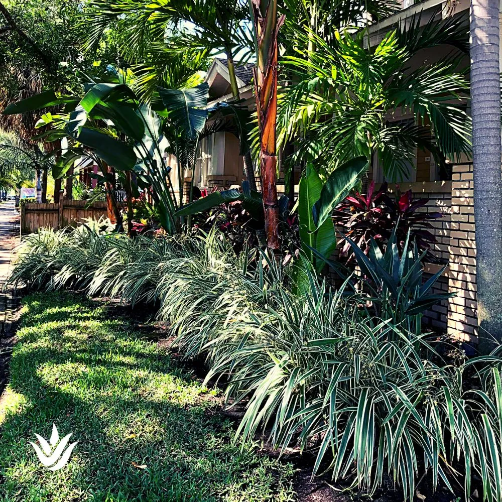 Expert yard maintenance for outdoor upgrades in Largo, FL by Landcrafters Florida