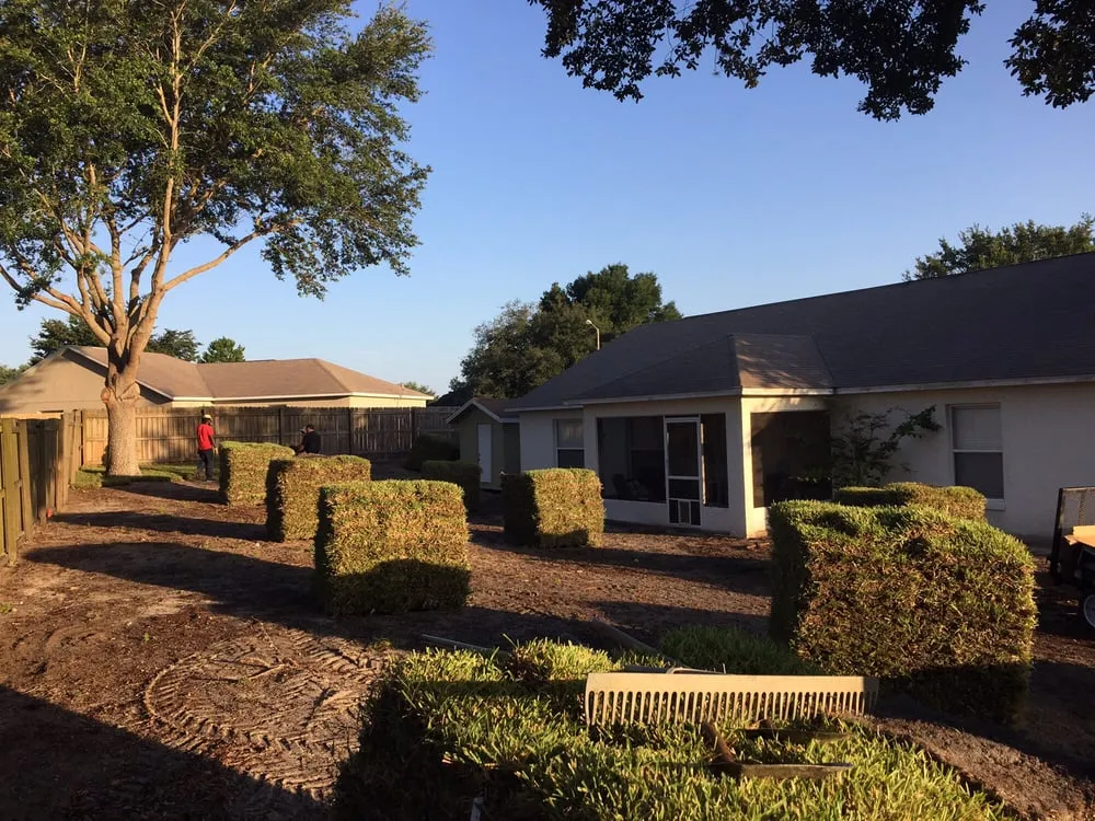 Trusted yard cleanup service in Clermont, FL by LandCrafters Landscaping