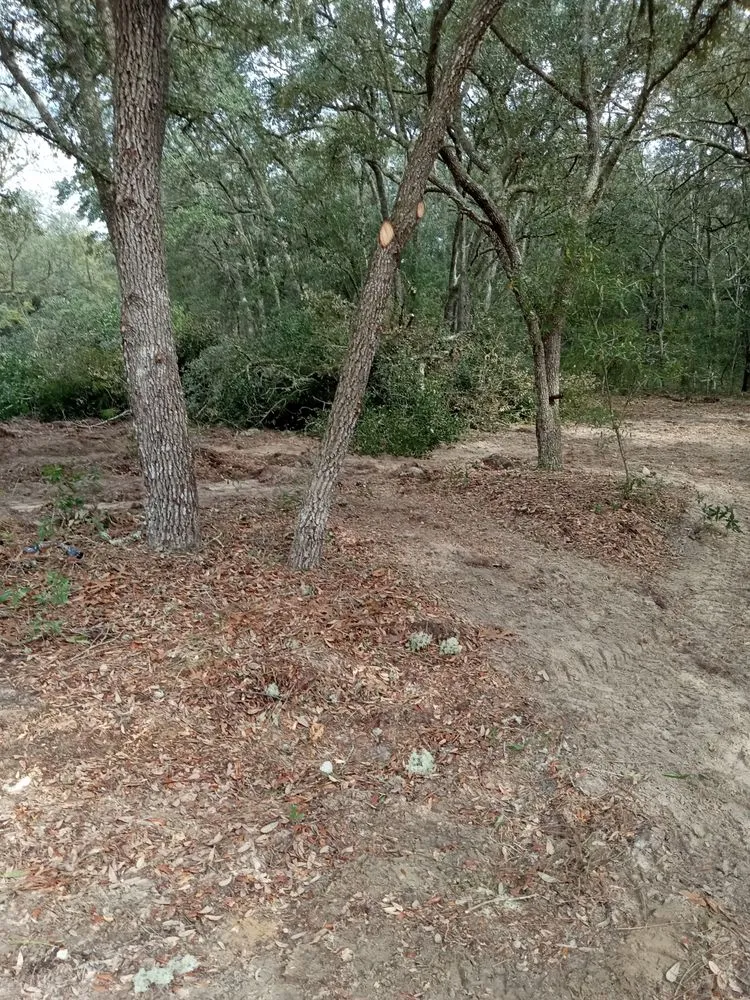 Local landscaping services in Valdosta, GA by Landcrafters