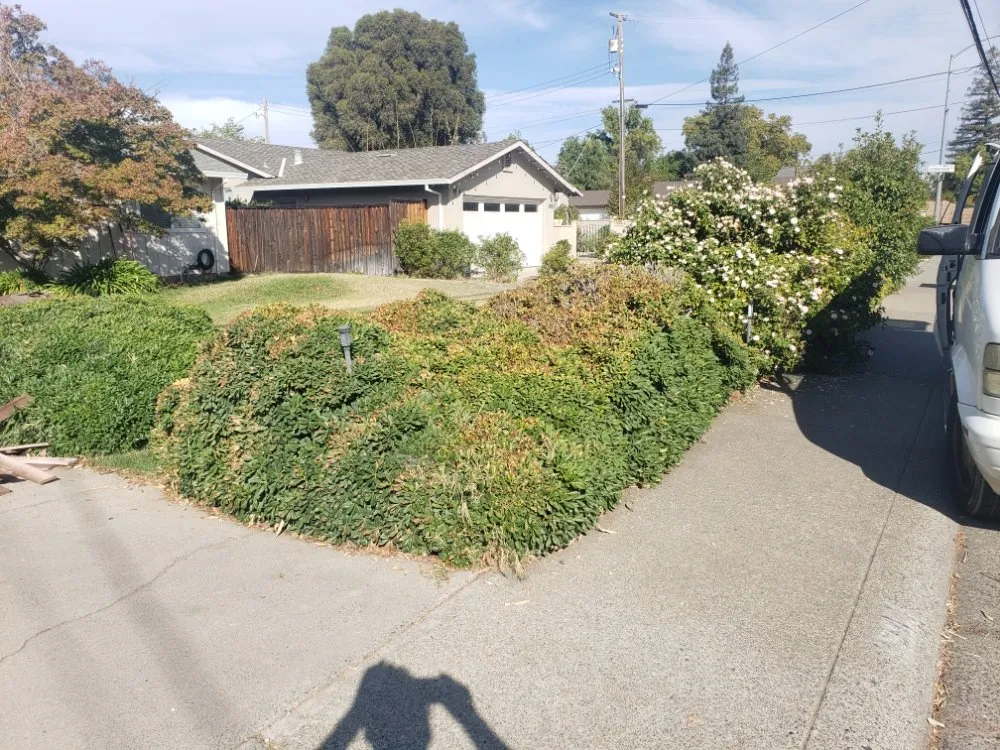 Local landscaping services for beautiful yards in Sacramento, CA by Landed Gentry