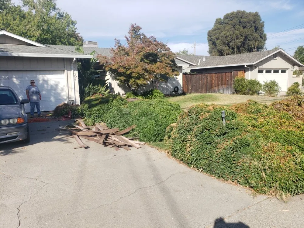Custom yard cleanup service for year-round maintenance in Sacramento, CA by Landed Gentry