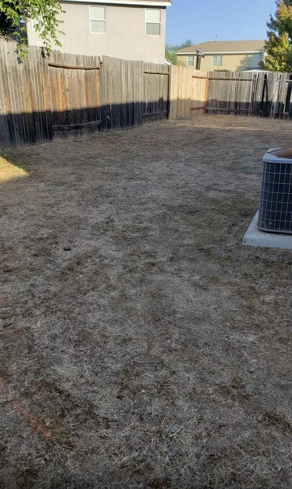 Trusted residential landscaping experts serving Sacramento, CA - Landed Gentry