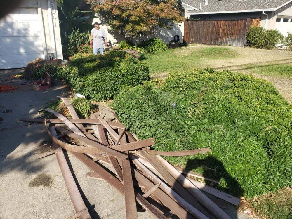 Local outdoor landscaping for beautiful yards in Sacramento, CA by Landed Gentry