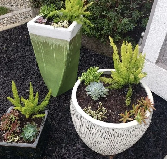 Trusted yard maintenance in Sacramento, CA by Landed Gentry