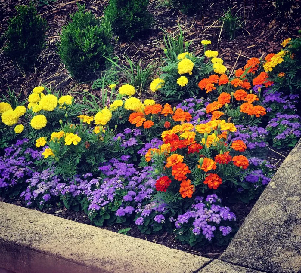 Local lawn mowing service in Bristol, VA by Landeffects