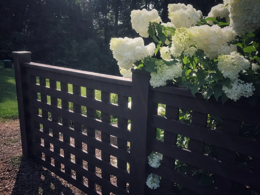 Trusted landscape installation in Bristol, VA - Landeffects