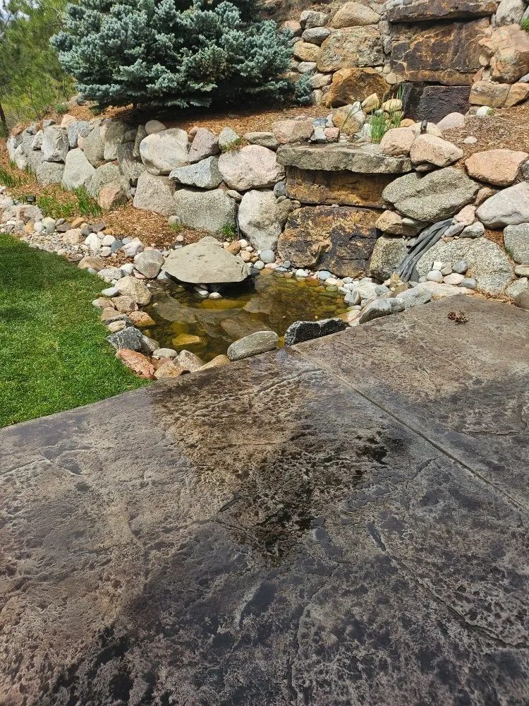 Trusted lawn care service for beautiful yards across Colorado Springs, CO - Landemic Landscaping