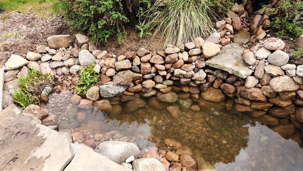 Trusted landscaping services in Colorado Springs, CO - Landemic Landscaping