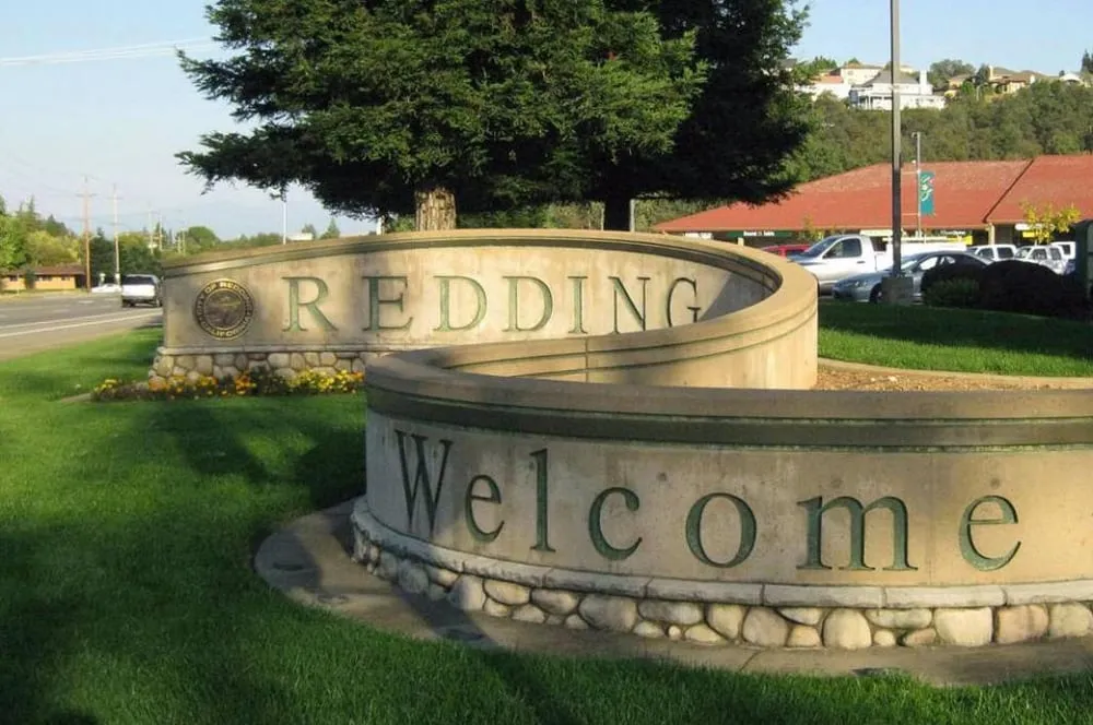 Expert yard cleanup service in Redding, CA - Lander Michael ASLA