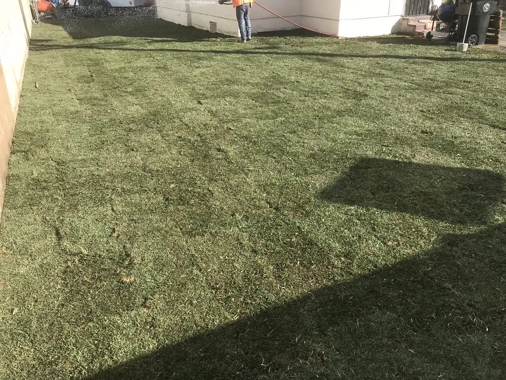 Expert yard cleanup service in Menifee, CA - Landeros Elite Concrete