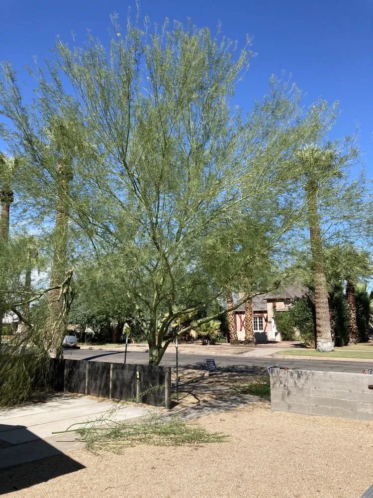 Local yard maintenance in Phoenix, AZ - Landeros Landscaping