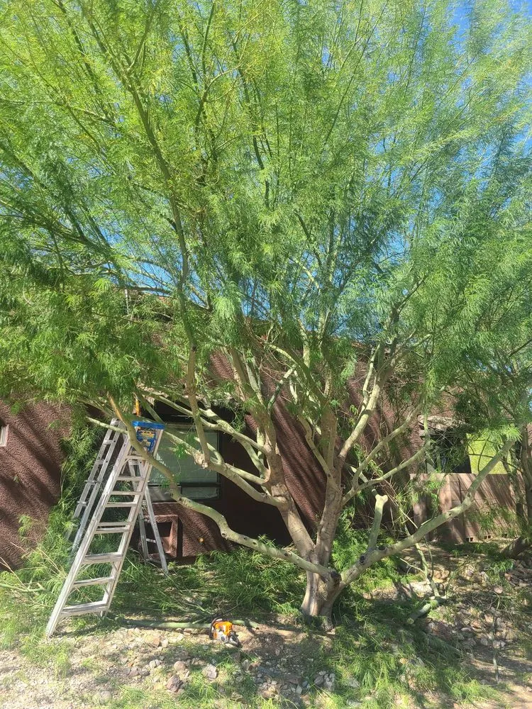 Top-rated landscape installation in Phoenix, AZ - Landeros Landscaping