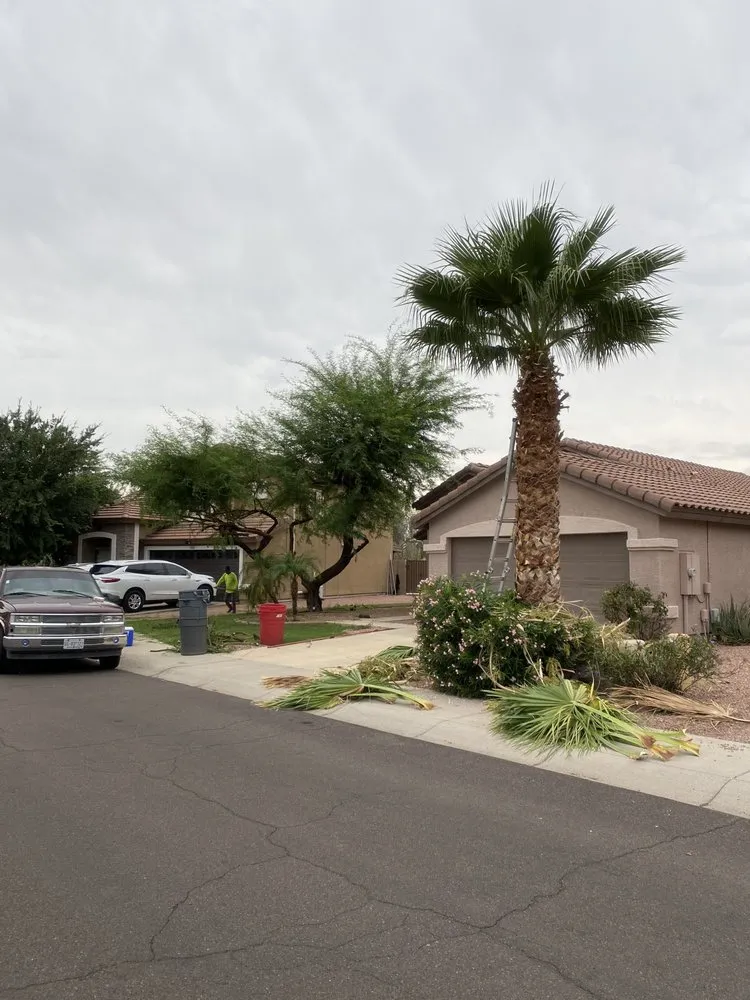 Local landscaping services for year-round maintenance in Phoenix, AZ by Landeros Landscaping