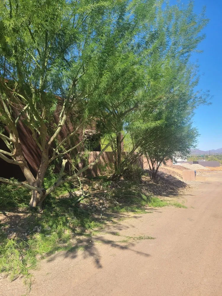 Professional landscape design experts serving Phoenix, AZ - Landeros Landscaping