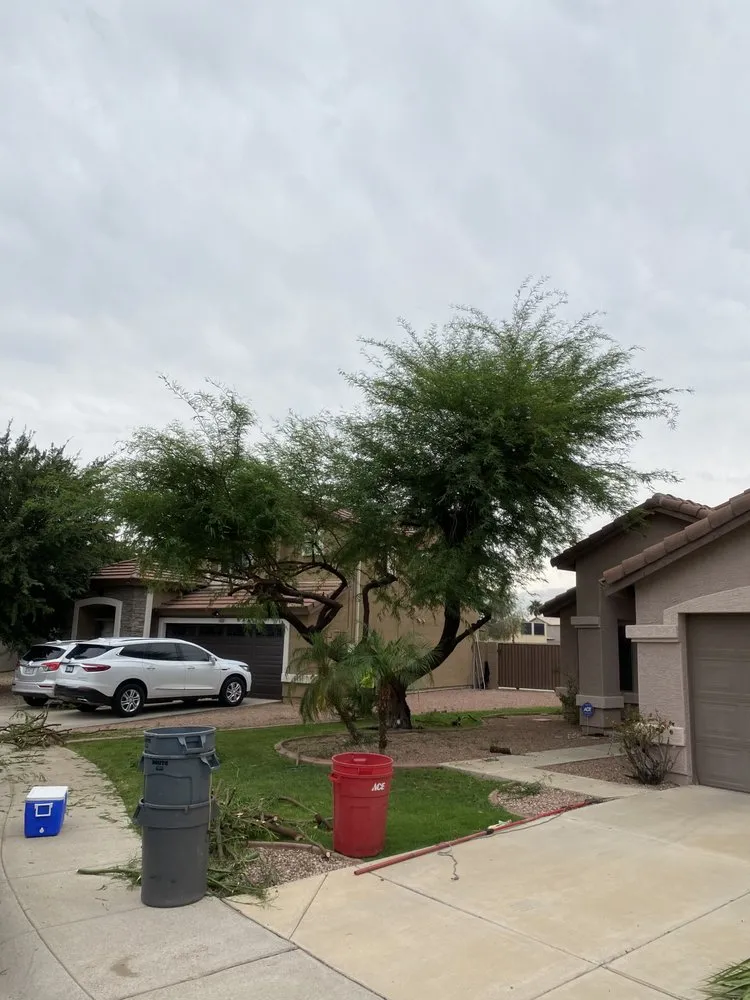 Top-rated lawn care service in Phoenix, AZ by Landeros Landscaping