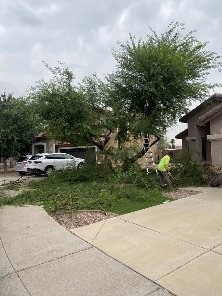 Top-rated landscape design experts serving Phoenix, AZ - Landeros Landscaping