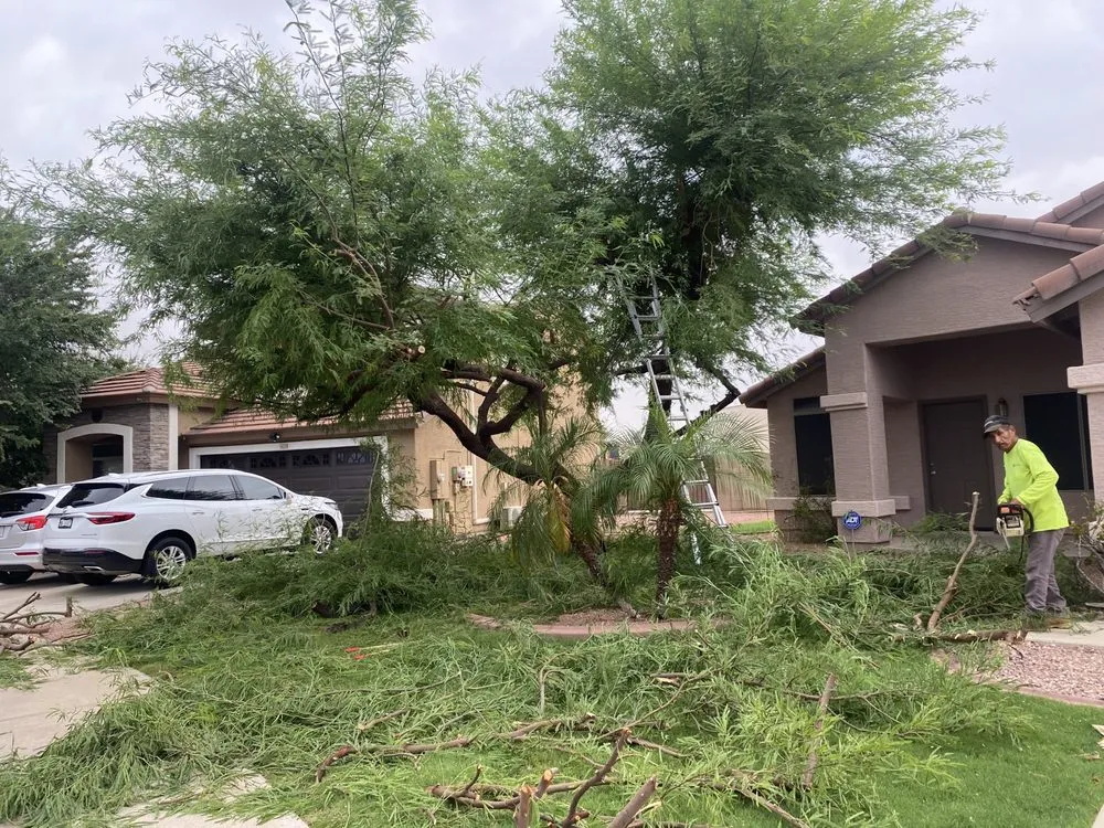 Top-rated outdoor landscaping with custom design in Phoenix, AZ by Landeros Landscaping