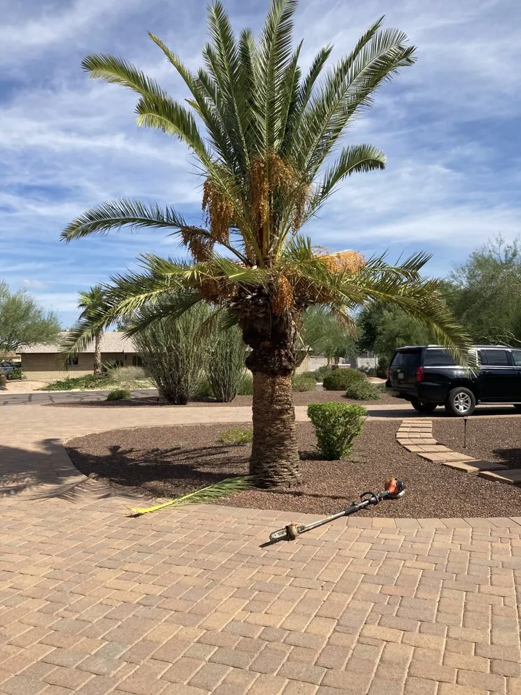 Reliable outdoor landscaping in Phoenix, AZ - Landeros Landscaping