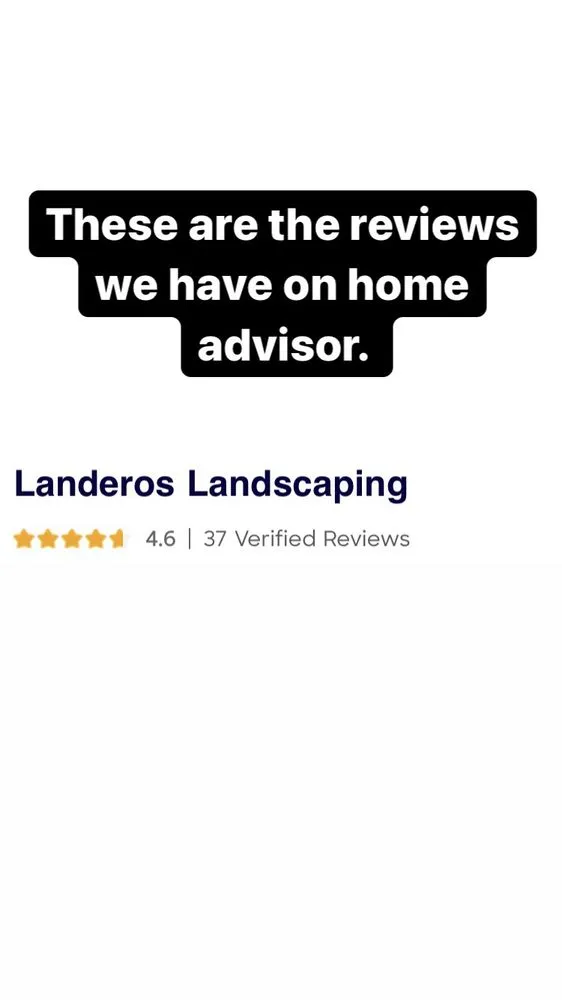 Local yard cleanup service experts serving Phoenix, AZ - Landeros Landscaping