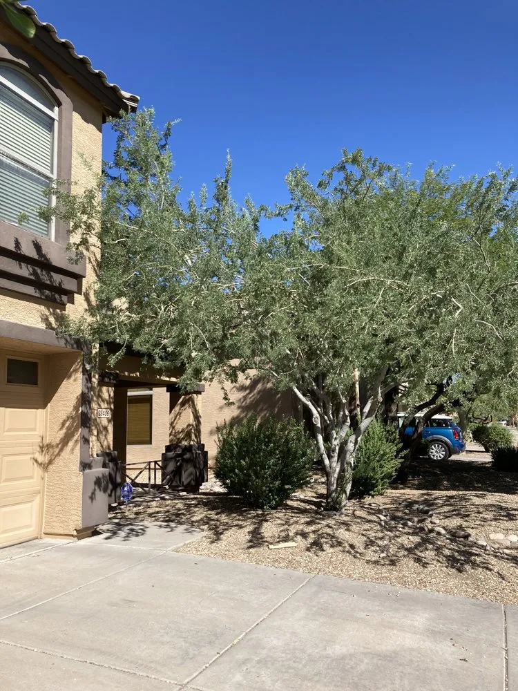 Top-rated lawn mowing service in Phoenix, AZ by Landeros Landscaping