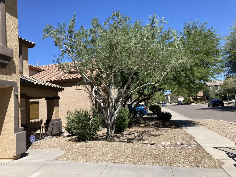 Reliable lawn care service for homes across Phoenix, AZ - Landeros Landscaping