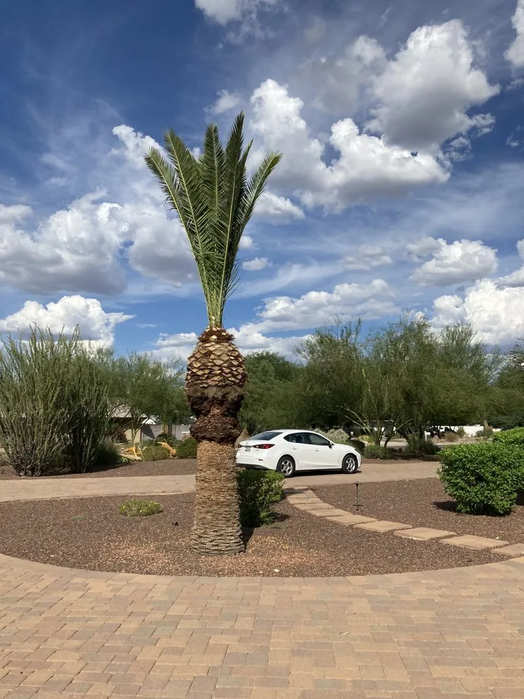 Top-rated lawn care service in Phoenix, AZ by Landeros Landscaping