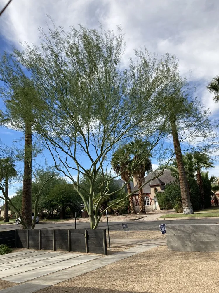 Top-rated outdoor landscaping in Phoenix, AZ by Landeros Landscaping