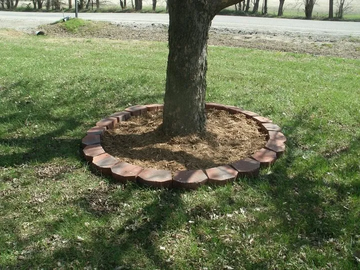 Local outdoor landscaping in Halstead, KS - Landers Lawn & Landscape