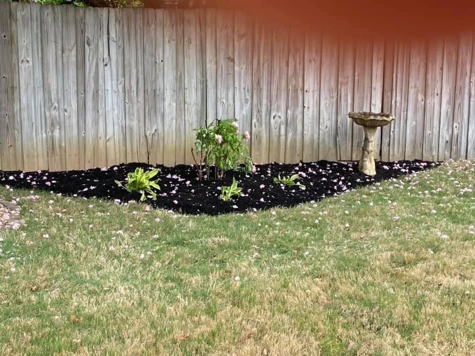 Expert yard cleanup service for homes across Jackson, TN - Landers Lawn Service