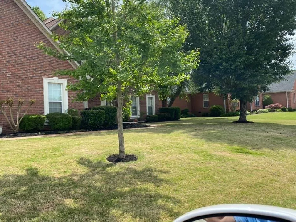 Professional lawn care service for homes in Jackson, TN by Landers Lawn Service