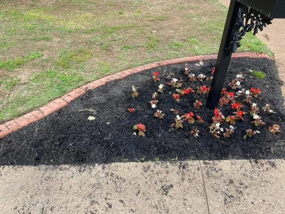Trusted landscape installation for outdoor upgrades across Jackson, TN - Landers Lawn Service