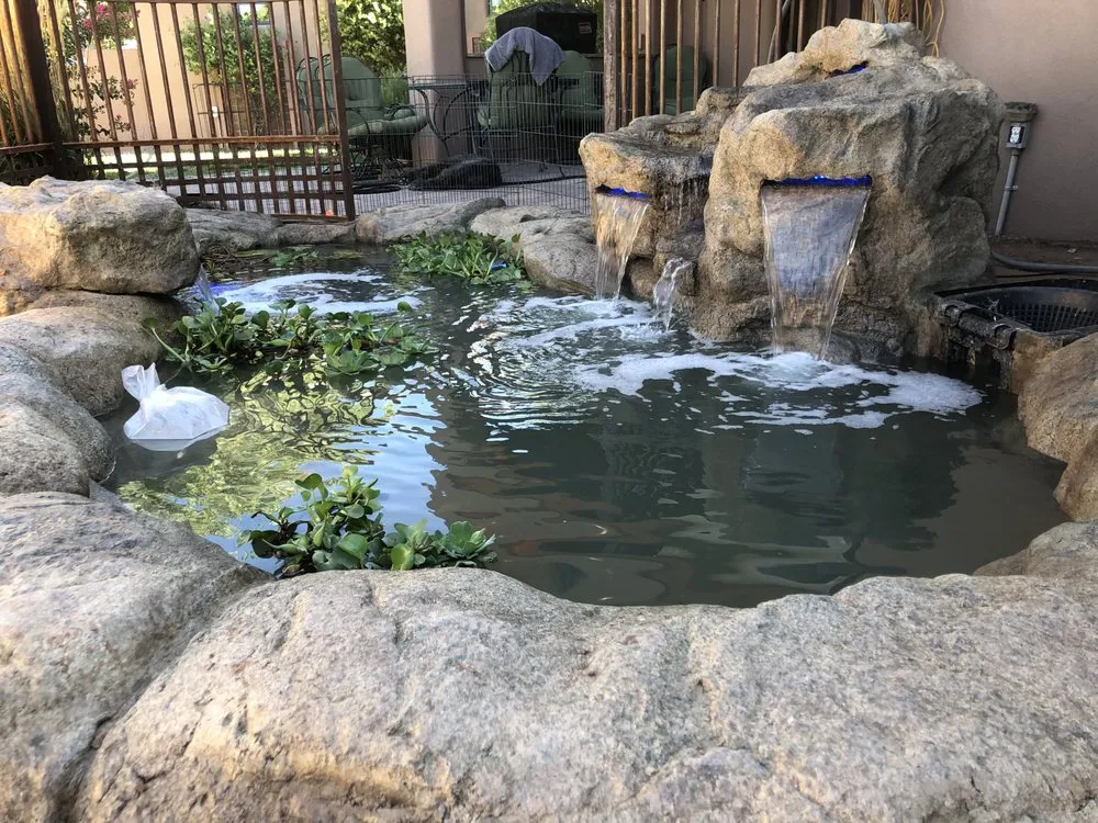 Local yard maintenance for homes across Rio Rancho, NM - Landescapes