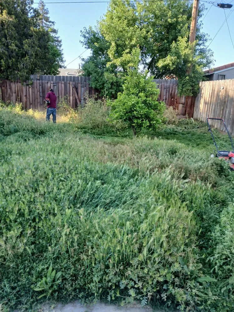 Reliable landscape design for outdoor upgrades in Farmersville, CA by Landescaping Los Bayo