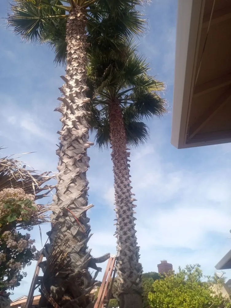 Top-rated lawn mowing service for beautiful yards in Salinas, CA by Landescaping