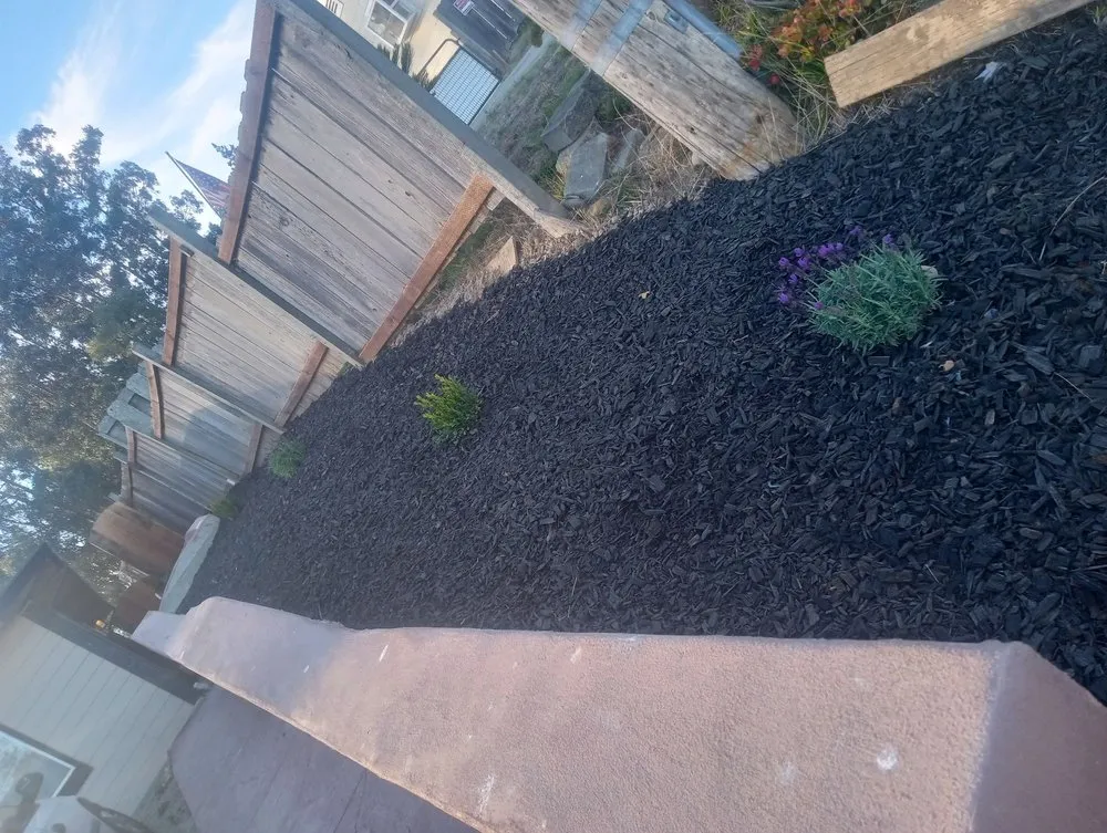 Expert yard maintenance in Salinas, CA by Landescaping