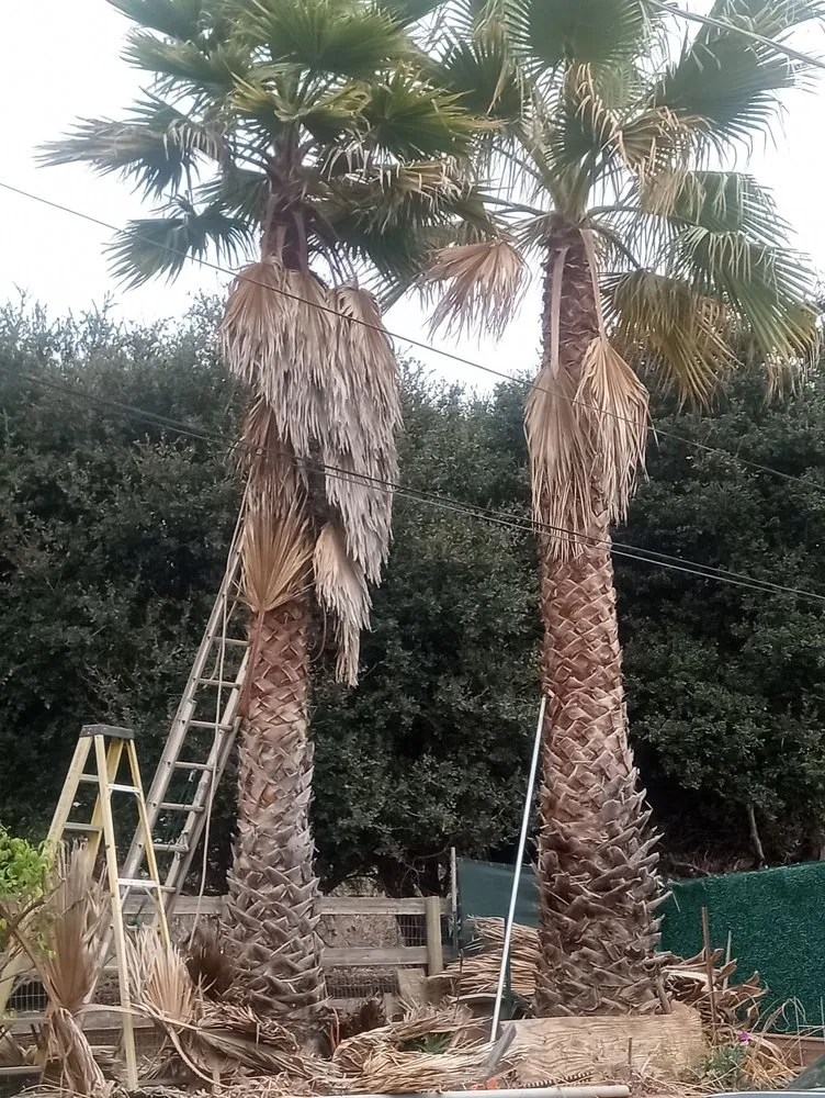 Professional landscaping services experts serving Salinas, CA - Landescaping