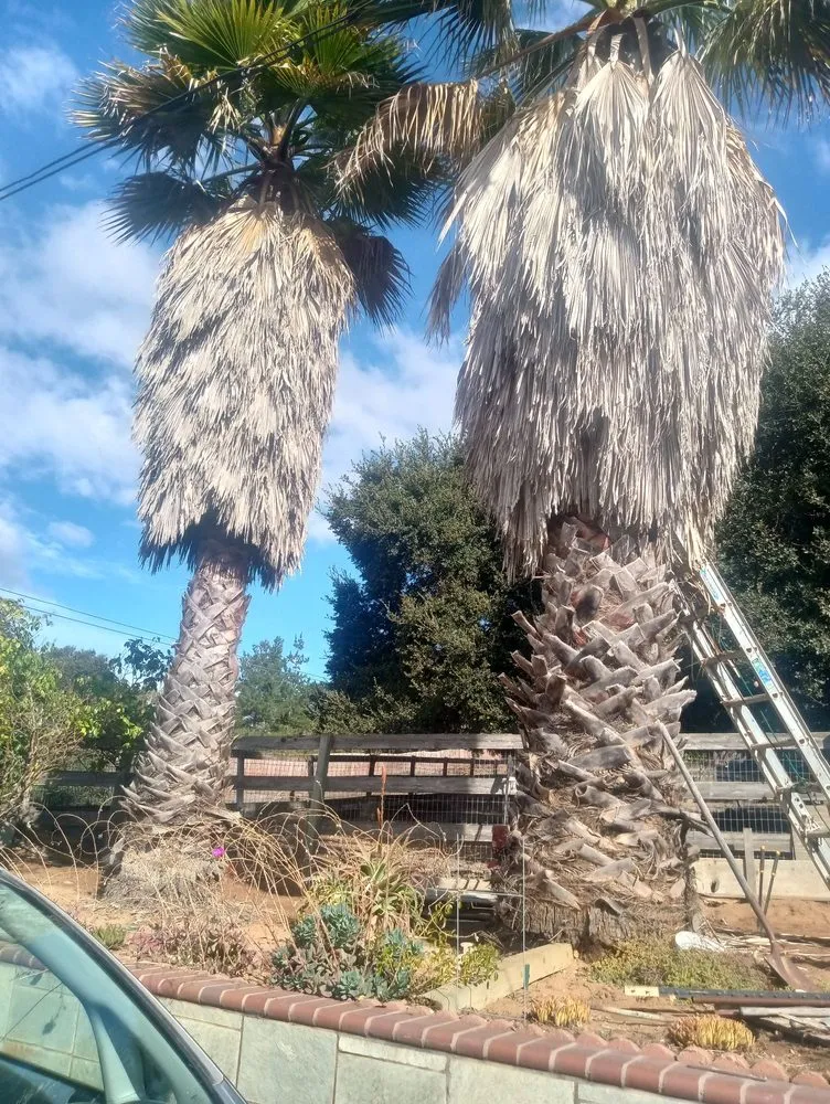 Affordable lawn mowing service for beautiful yards in Salinas, CA by Landescaping