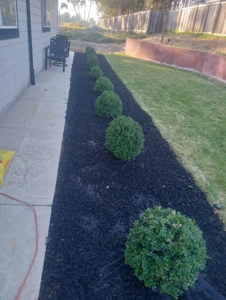 Trusted garden landscaping in Salinas, CA - Landescaping
