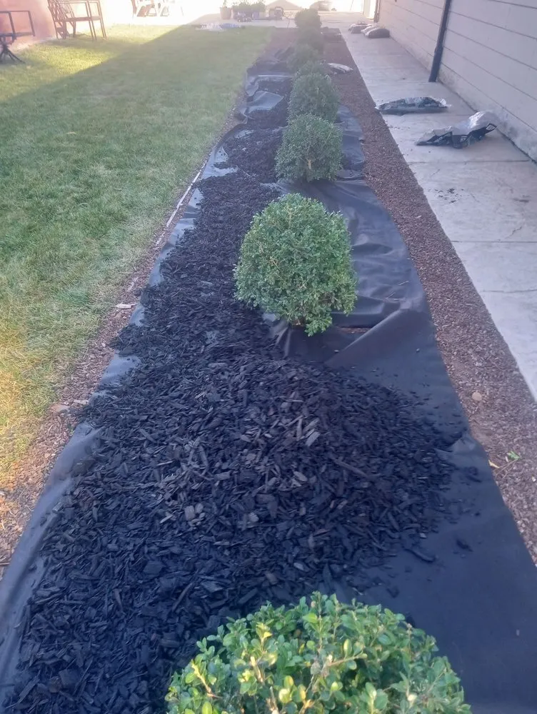 Local yard cleanup service in Salinas, CA - Landescaping