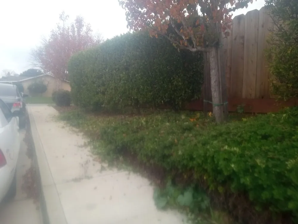 Local lawn mowing service for beautiful yards across Salinas, CA - Landescaping