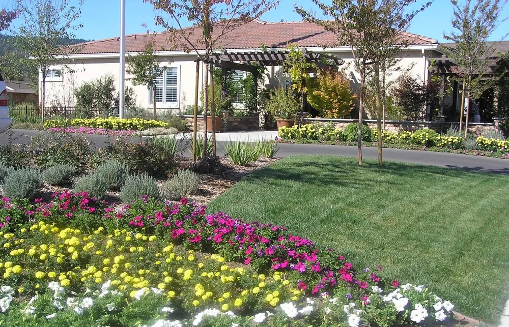 Custom lawn care service experts serving Santa Rosa, CA - Landesign Construction & Maintenance