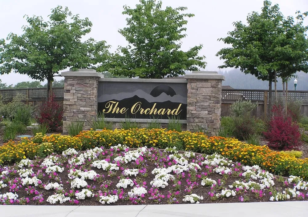 Reliable yard cleanup service in Santa Rosa, CA by Landesign Construction & Maintenance