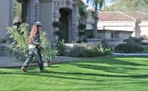 Affordable landscaping services near you in Santa Rosa, CA by Landesign Construction & Maintenance