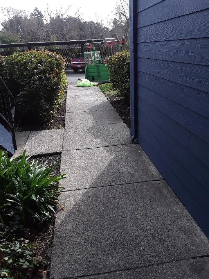 Professional landscape design experts serving Santa Rosa, CA - Landesign Construction & Maintenance