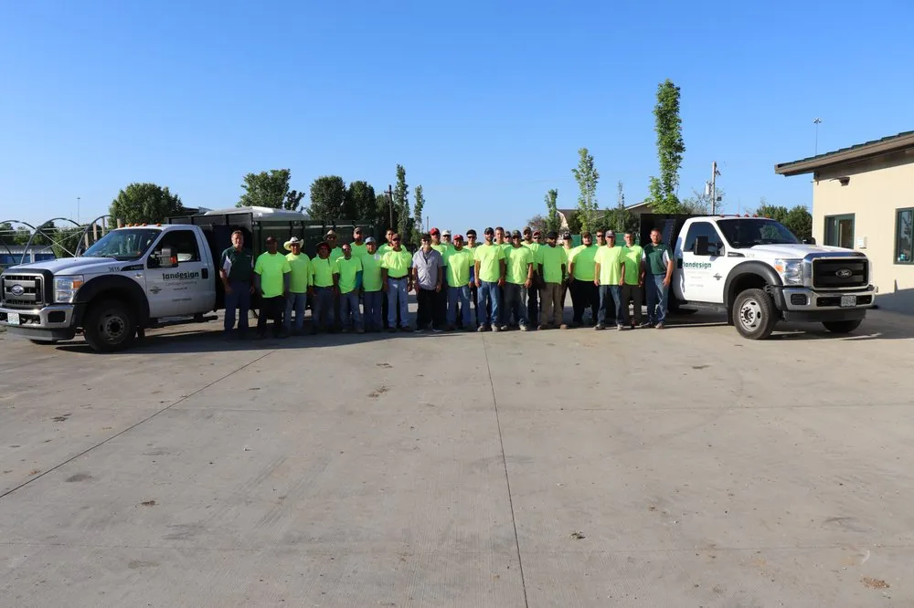 Trusted yard cleanup service in Moscow Mills, MO - LanDesign