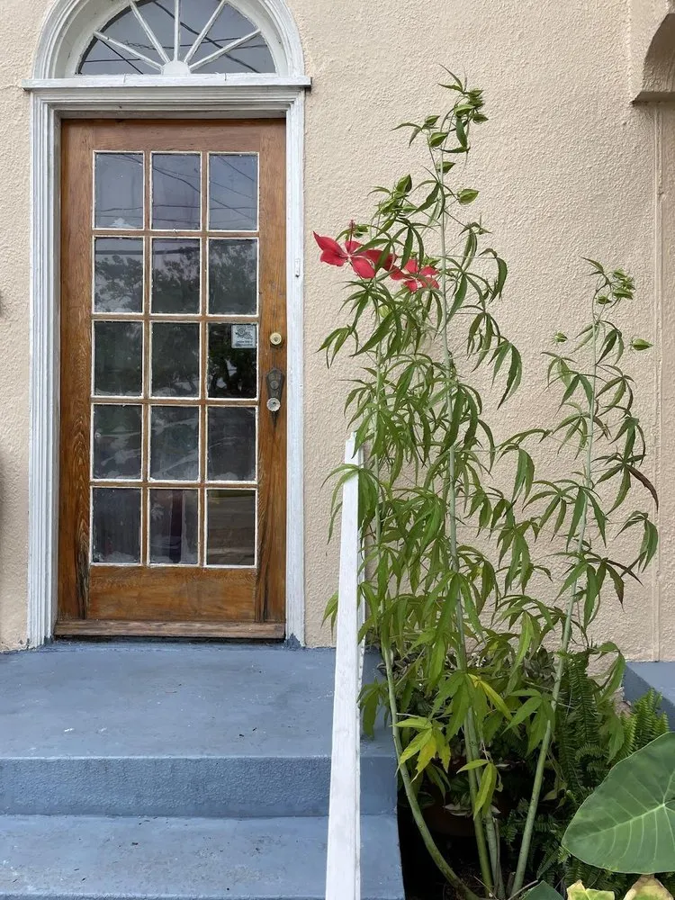 Affordable lawn care service near you across New Orleans, LA - Landfill Aversion